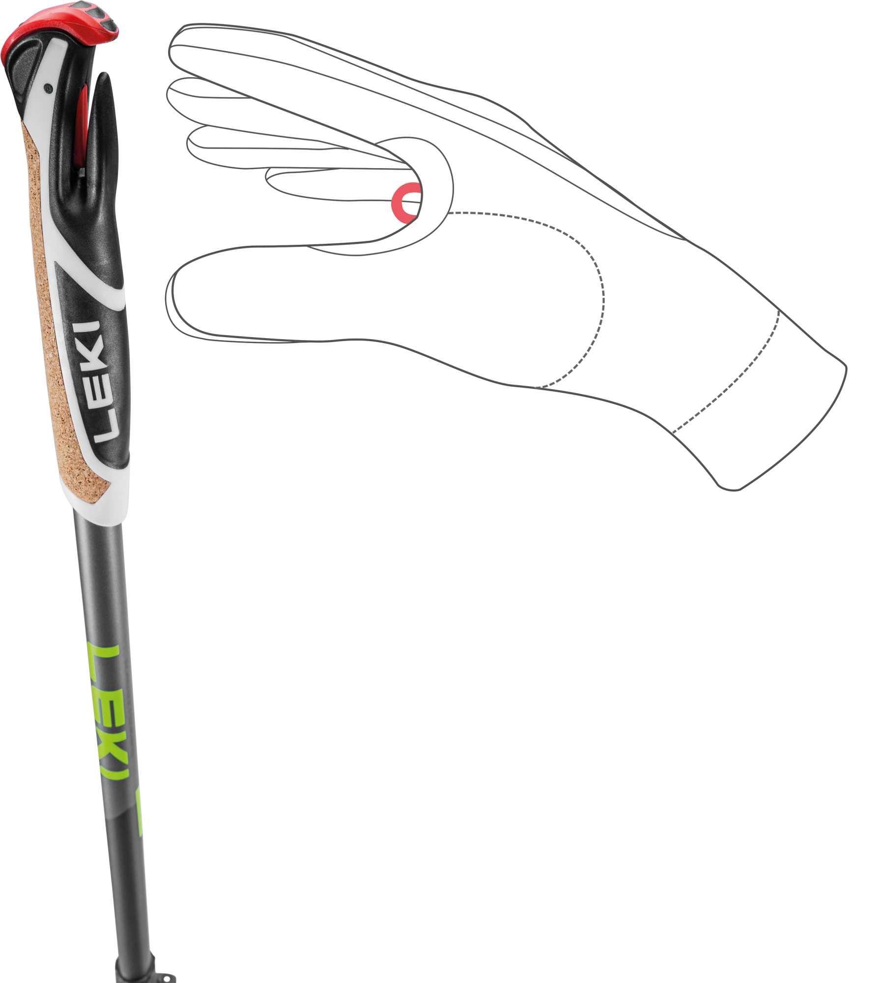 Spin Shark SL, silvergray-dark anthracite-lime, 100 - 130 cm