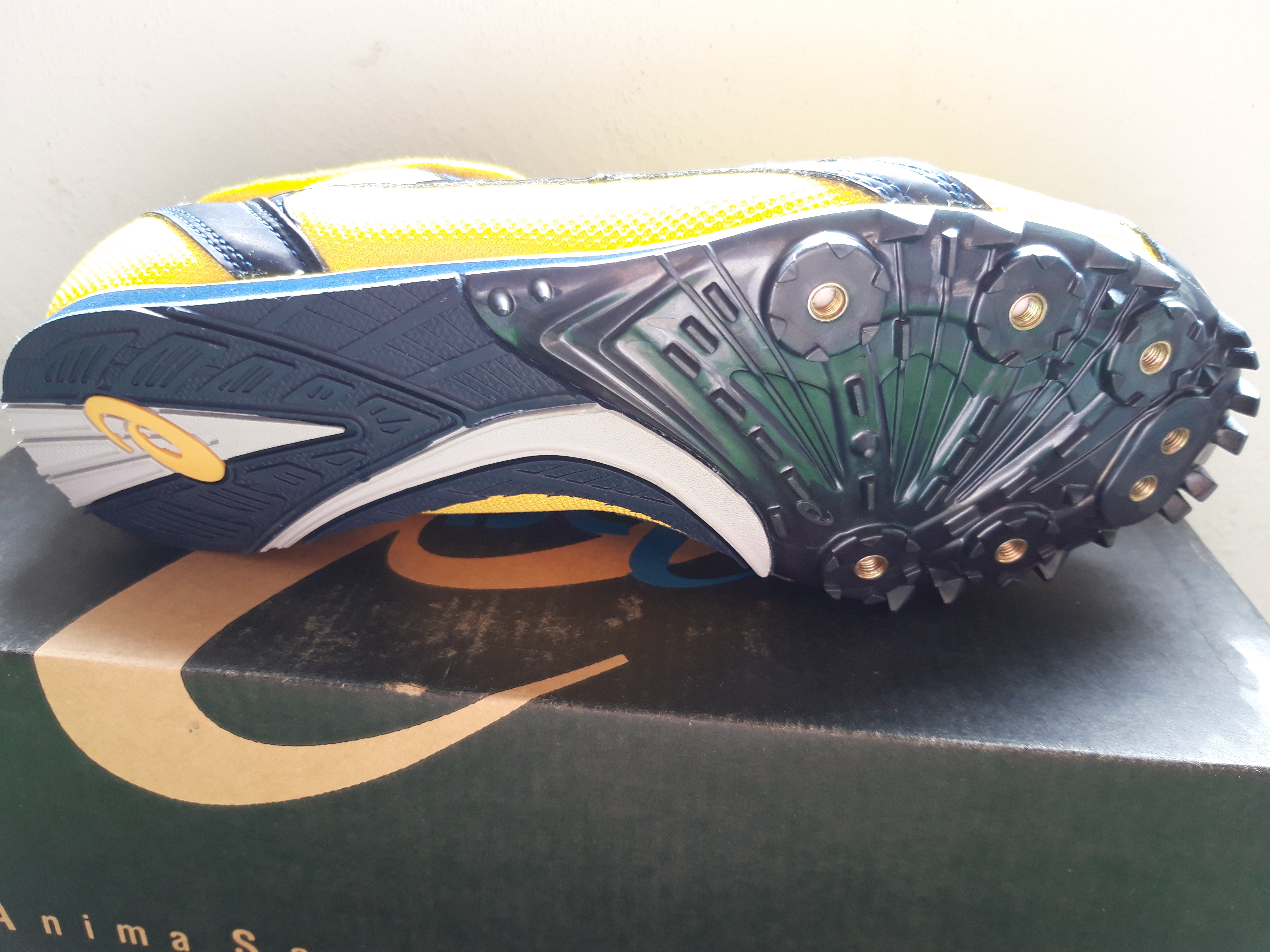 Atletické tretry Asics Hyper Endurance