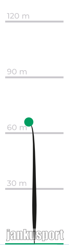 D-Line P2 (Flex 2)