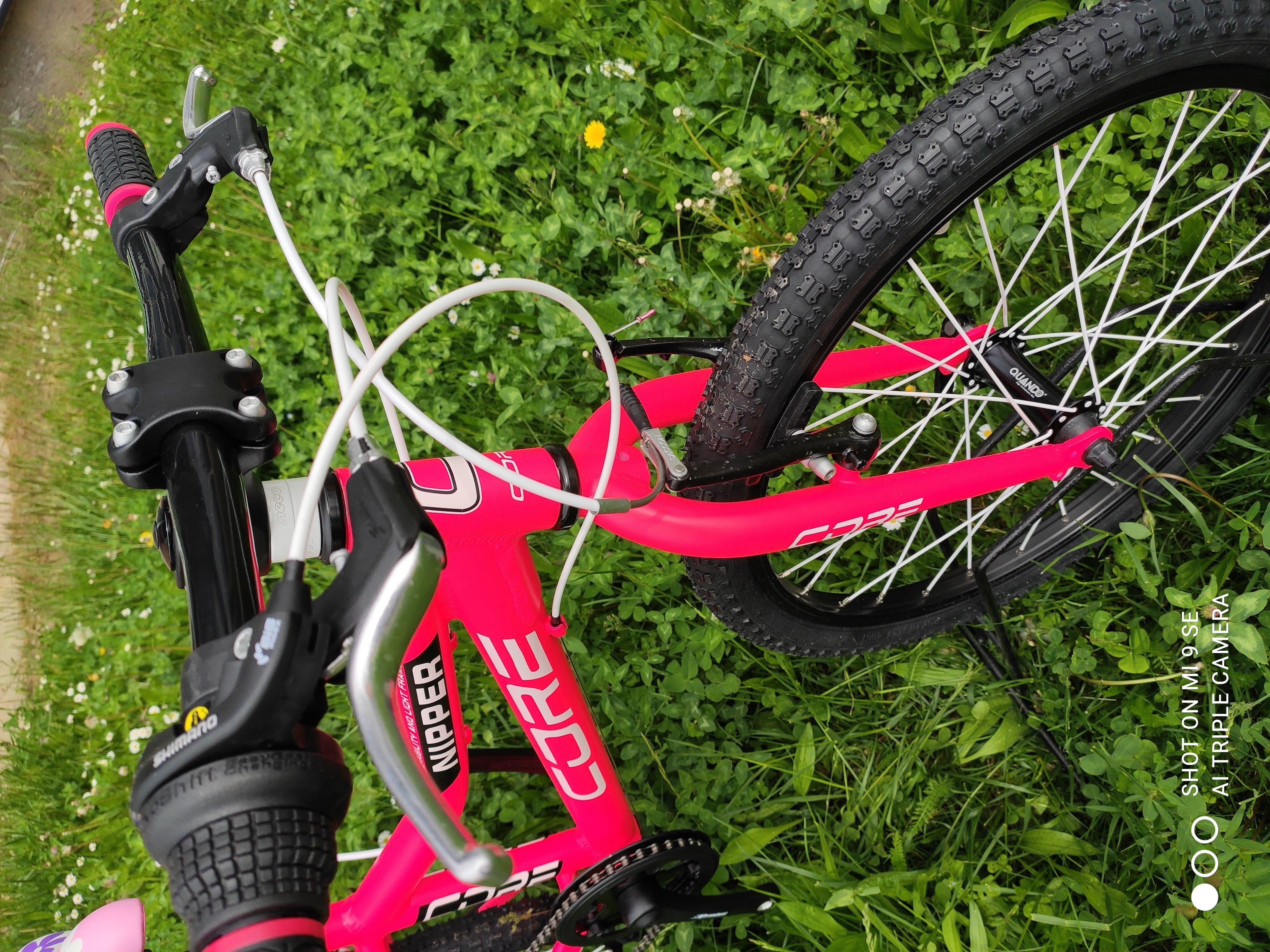 Dětské kolo 20" Al Nipper, Revo-6, růžový mat (8.19kg)