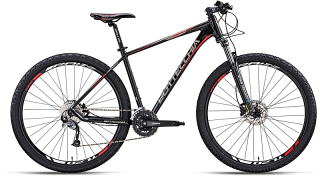 Bottecchia MTB 125 Diamant