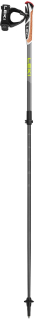 Spin Shark SL, silvergray-dark anthracite-lime, 100 - 130 cm